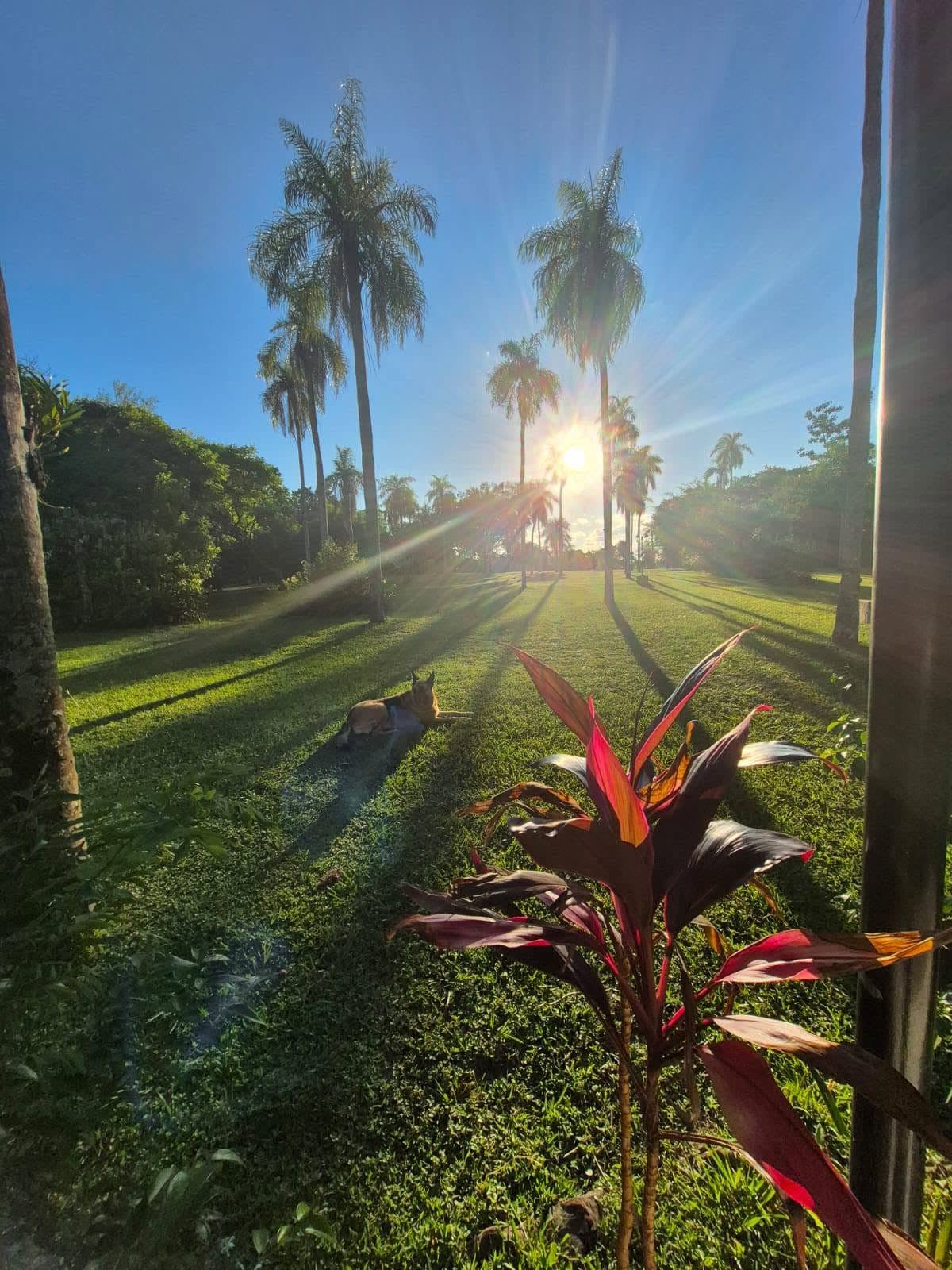Paradise-City Paraguay