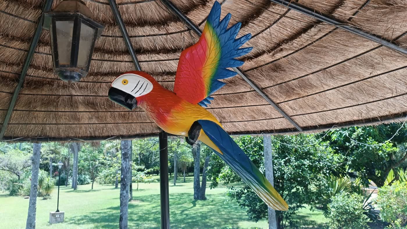 Paradise-City Paraguay